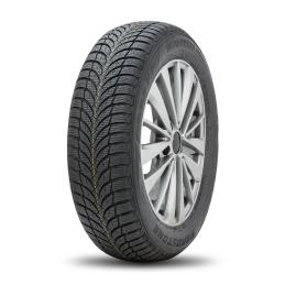 Roadstone Winguard SnowG WH2 205/65R15 99T  XL