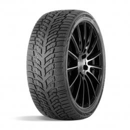 Doublestar Winterking DW08 245/45R18 96H